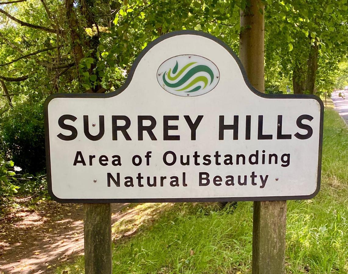 Ranmore Rise Retreat In The Surrey Hills Dorking Kültér fotó